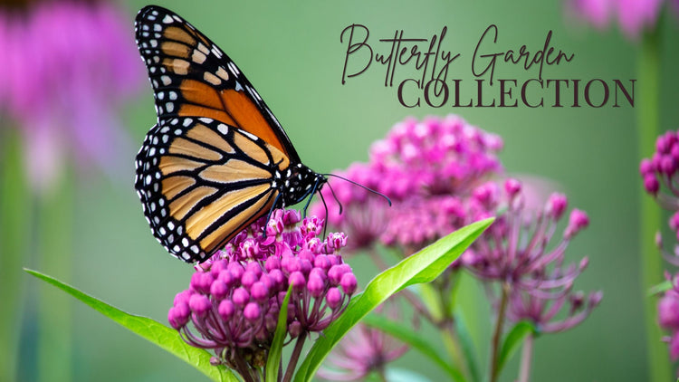 The Butterfly Garden Collection