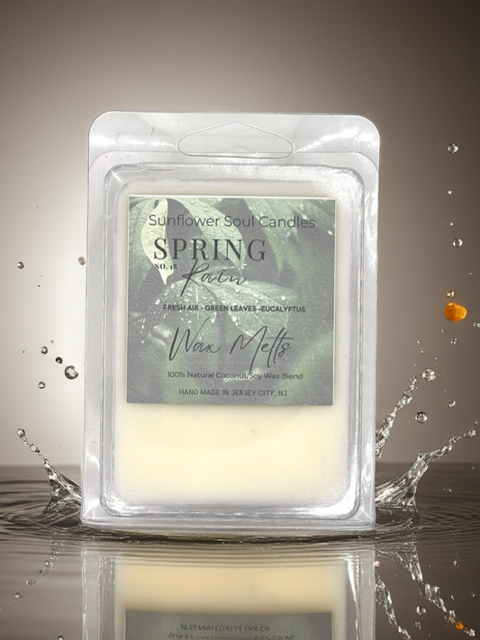 SPRING RAIN 6PC Shell Wax Melts (Discontinued)