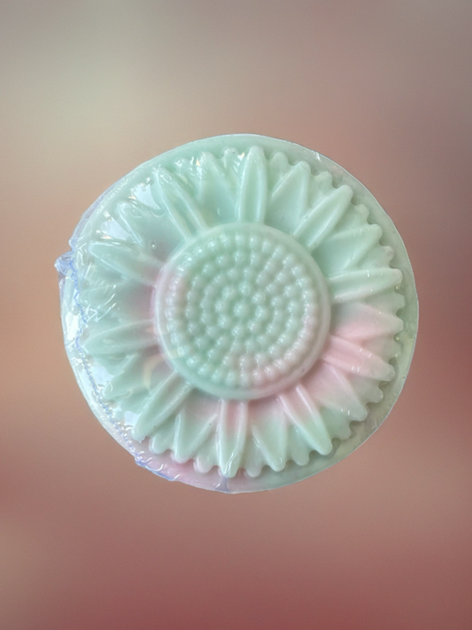 WATERMELON MOONSHINE Goat’s Milk Soap Bar