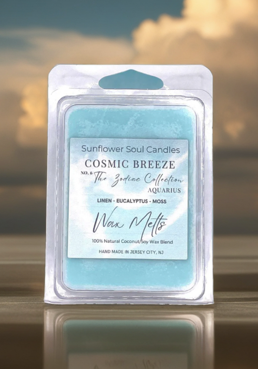 COSMIC BREEZE (Aquarius) 6PC Shell Wax Melts (Discontinued)